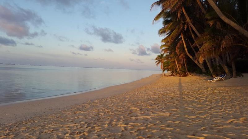 Little Polynesian Resort Rarotonga Luaran gambar